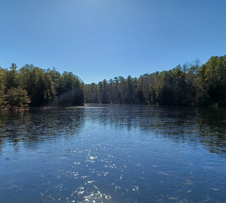 brendan-t-byrne-state-forest-photo